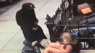 Brooklyn Beast: Public Indecency in NYC
