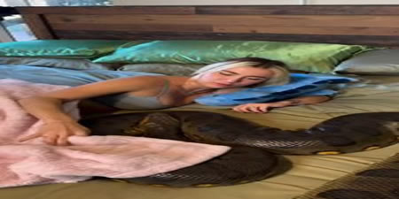 Blonde Sleeps with Python