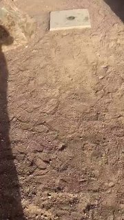 Girls Fight Outside a Texas High School