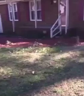 Lanadiya Fights Girl Broken up by Brother and Fights Him