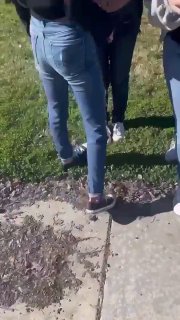 Smoothie Spill Starts a Girl Fight