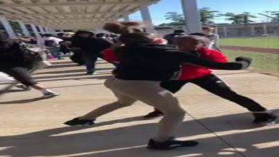 Black vs White Brutal Girl Fight