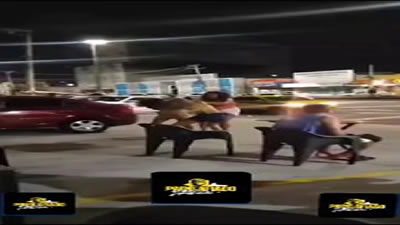 Drunk Brazilian 3 Way Girl Fight