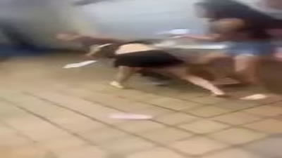Elevator Black Girl Brawl