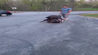 Girl Beaten for Trespassing