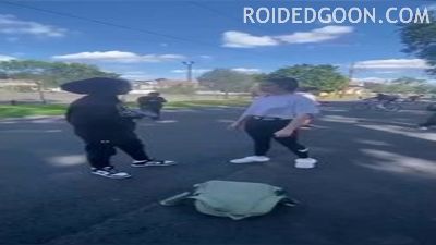 White Girl Pummels Black Girl at the Park