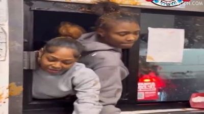 Wendy_s Drive-Thru Chimp Out